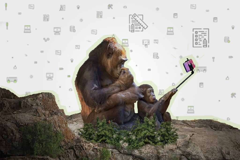 Les 6 meilleures banques d’images gratuites et libres de droit