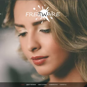 theme freeware wordpress gratuit