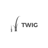 Technologie Twig - Agence digitale La Quincaillerie