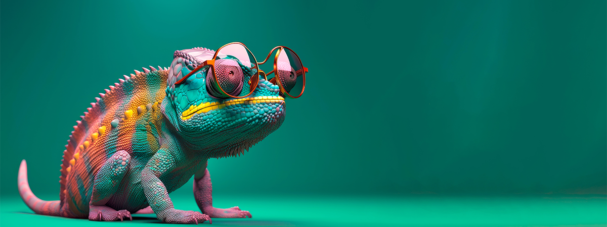 critère 9 la flexibilité et l'adaptabilité de l'agence agence de communication lille