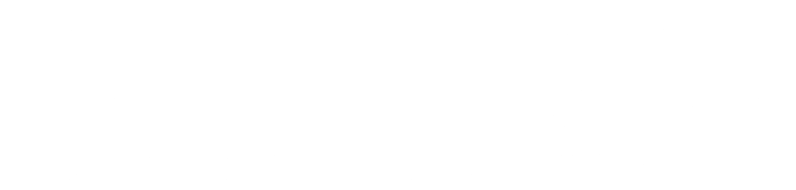logo rvb blanc